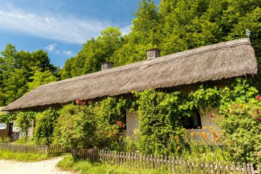 Romania, Transylvania, Sibiu, ASTRA village museum, Group Travel, Literary tour, book tour, Dracula NCN
