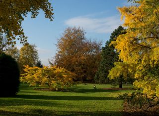 Royal Botanic Gardens, Kew, Richmond, London - Autumn colour © RBG Kew