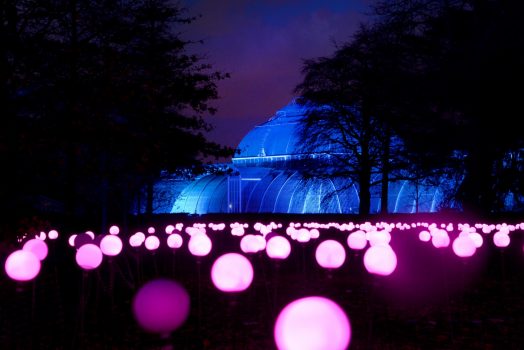 Royal Botanic Gardens, Kew, Richmond, London - Bloom by Squidsoup © Jeff Eden, RBG Kew