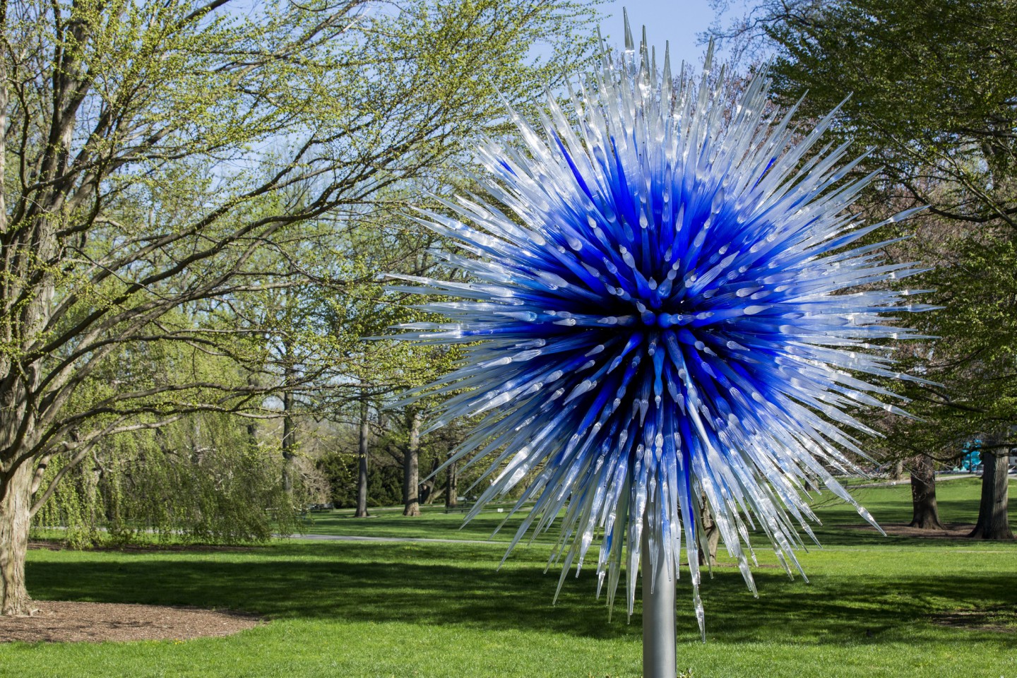 Royal Botanic Gardens, Kew, Richmond, London - Dale Chihuly. Sapphire Star. The New York Botanical Garden, Bronx, NY © Chihuly Studio