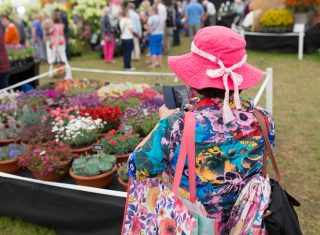 Shrewsbury flower show