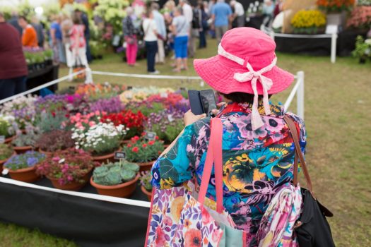 Shrewsbury flower show