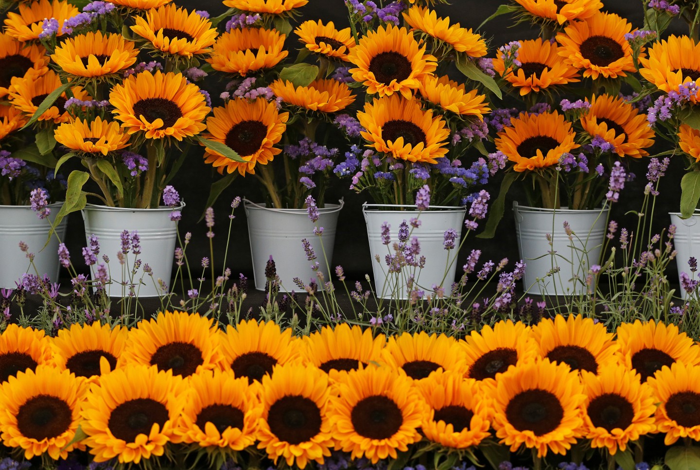 Southport Flower Show, Merseyside