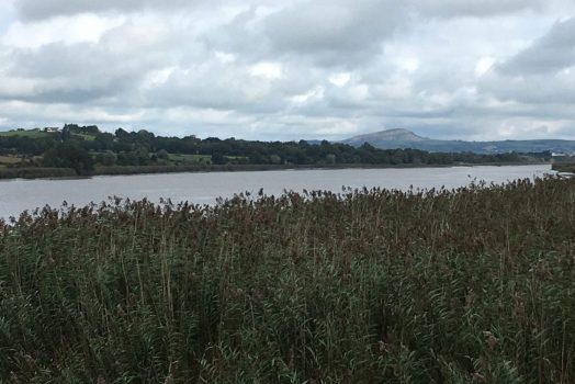 Views from Suir Valley Railway