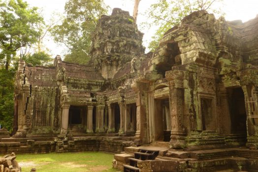 Cambodia, Angkor Wat National Park, Ta Phrom, NCN