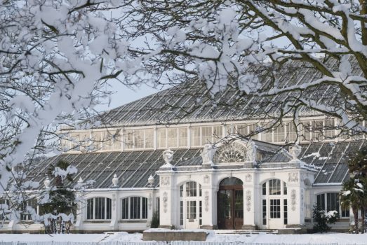 Temperate house in the snow © Kew Gardens