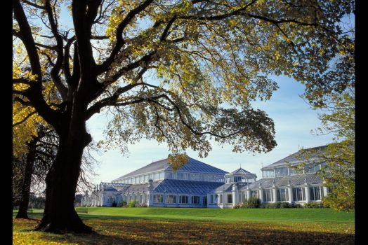 Temperate House © Kew Gardens