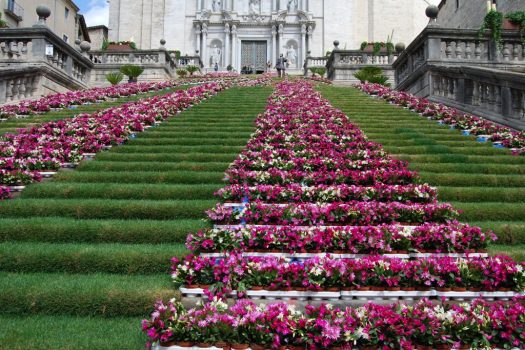 Spain, Cantabria, Girona, Temps de Flors, flowers, group tour, group travel © Girona City Council - AJ