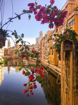 Spain, Cantabria, Girona, Temps de Flors, flowers, group tour, group travel © Girona City Council - Laia Masip