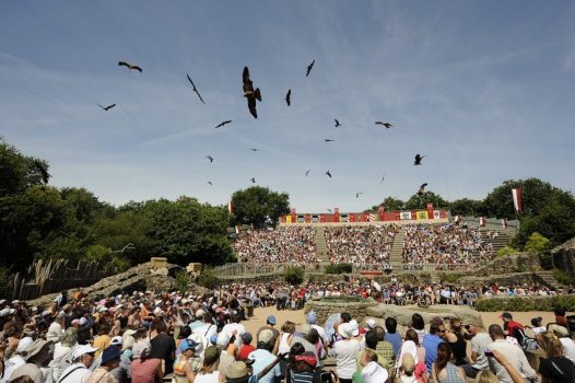 Puy du Fou - All You Need to Know BEFORE You Go (with Photos)