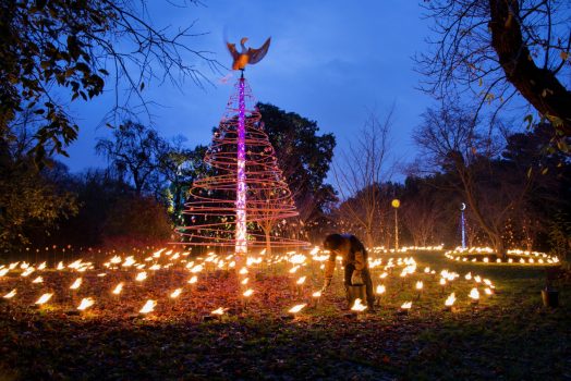 Kew Gardens Hampton Court London Magical Christmas