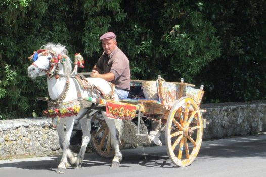 Traditionally decorated Horse & Cart, Sicily