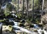 Germany, Triberg Waterfalls, Black Forest, Group travel,