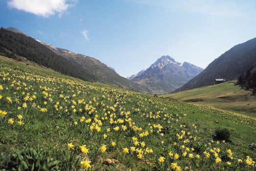 Andorra, Vall d'Incles, pyrenees, group travel, group tour, ©Andorra Turisme SAU