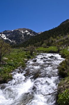 Vall d'Incles Andorra for groups, group travel ©Andorra Turisme, SAU