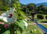 Italy, Tuscany, Lucca, Villa Reale, Gardens and Flowers NCN