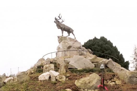 Beaumont-Hamel Newfoundland Memorial (AFR-NCN)