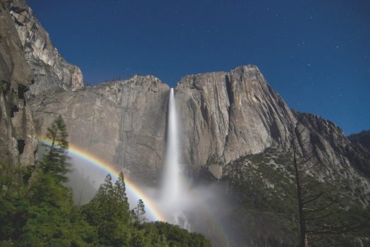 USA, United States of America, California, Yosemite