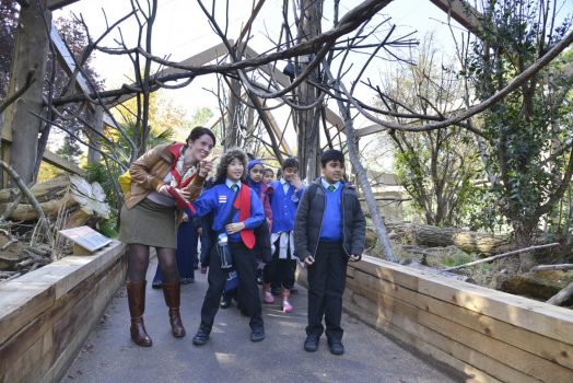 Science Pupils being taken around London Zoo hoping to catch a glimpse of one of its residents ©ZSL