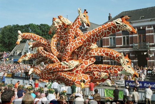 Zundert Flower Parade - Dutch Dahlias